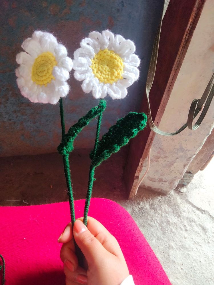 Corchet Daisy