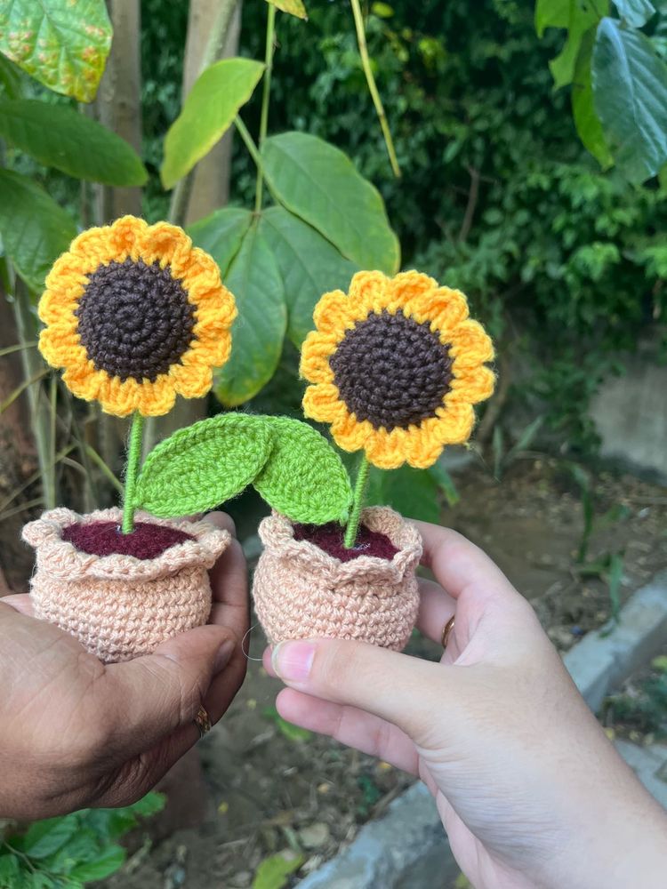 Crochet flower pot combo!