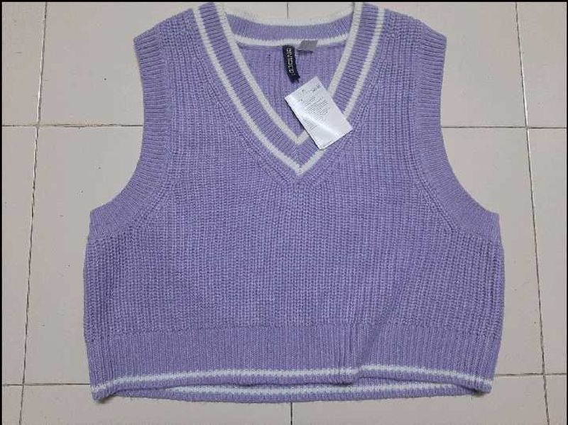 H&amp;M Sweater Vest
