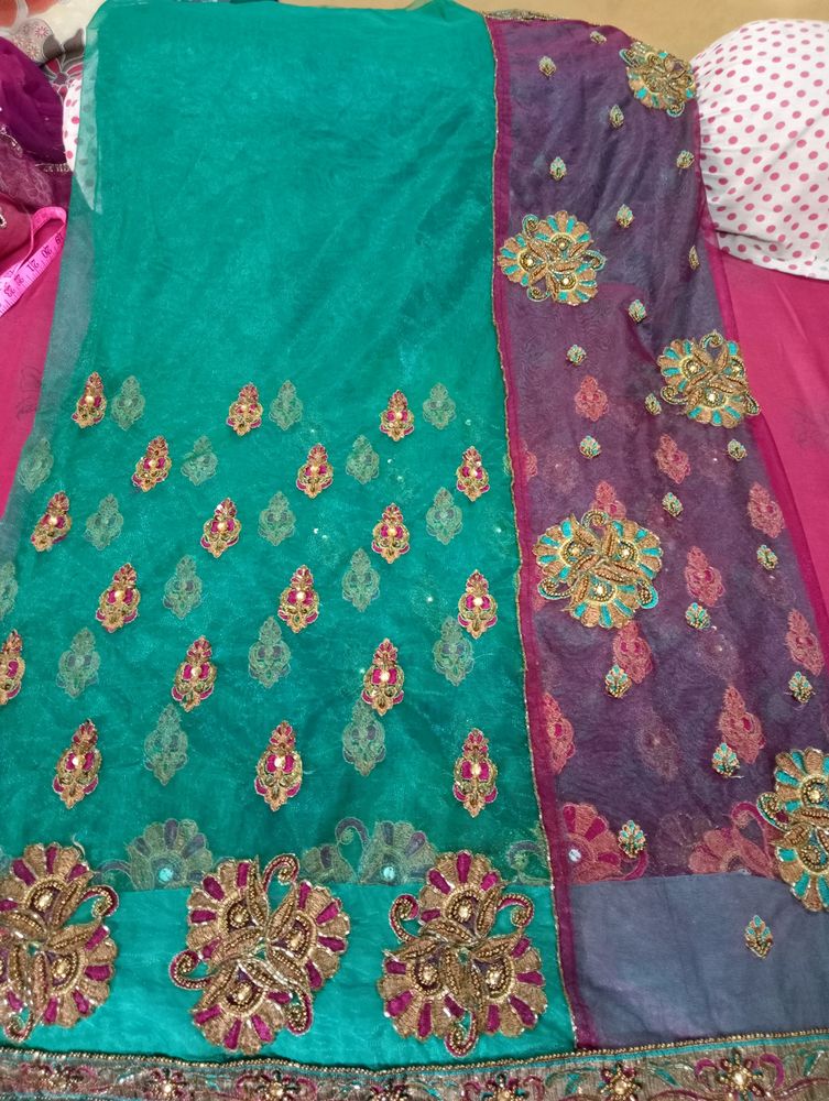 net saree with superb contrast with blouse