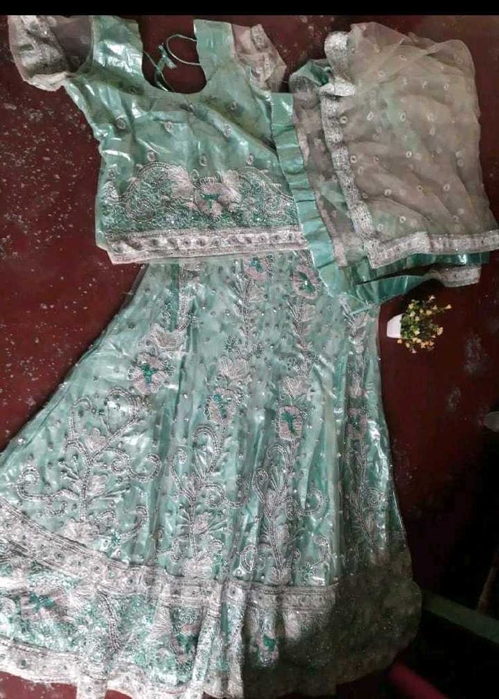Bridesmaid Lehenga Choli Set
