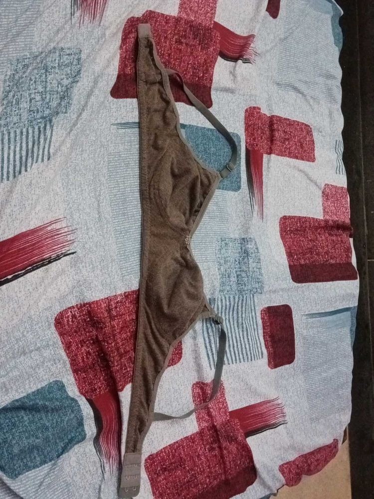 Comfortable Brown Bra
