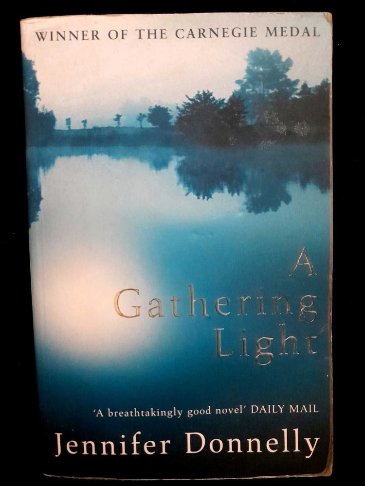 A Gathering Light by Jennifer Donnelly