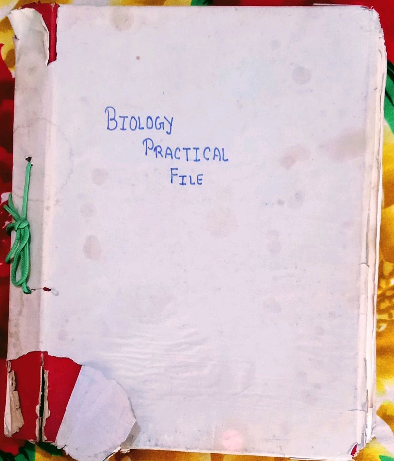 Biology Practical File Class 11 Cbse Board Chgs School