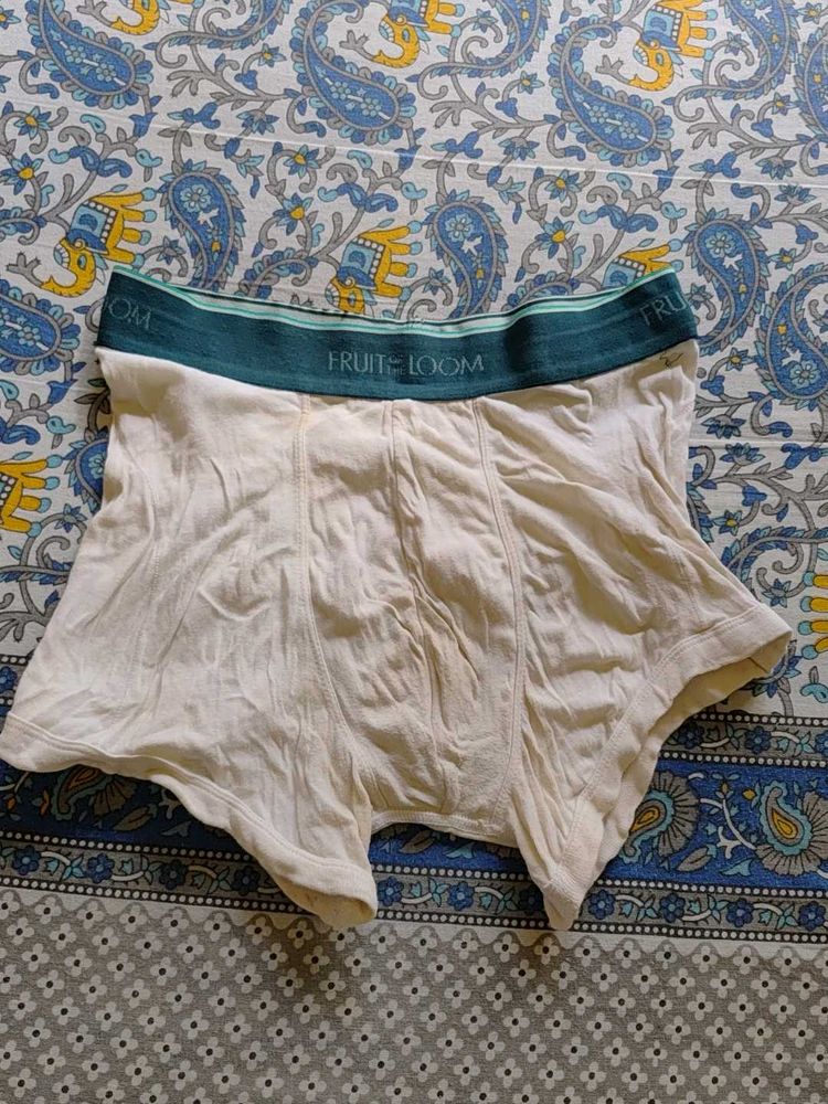 Fruit of the Loom Briefs