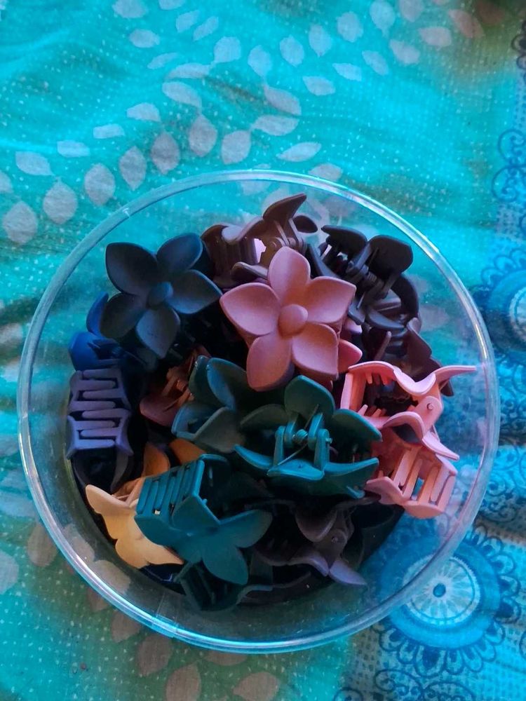 Hair Clip Claw Pick 5