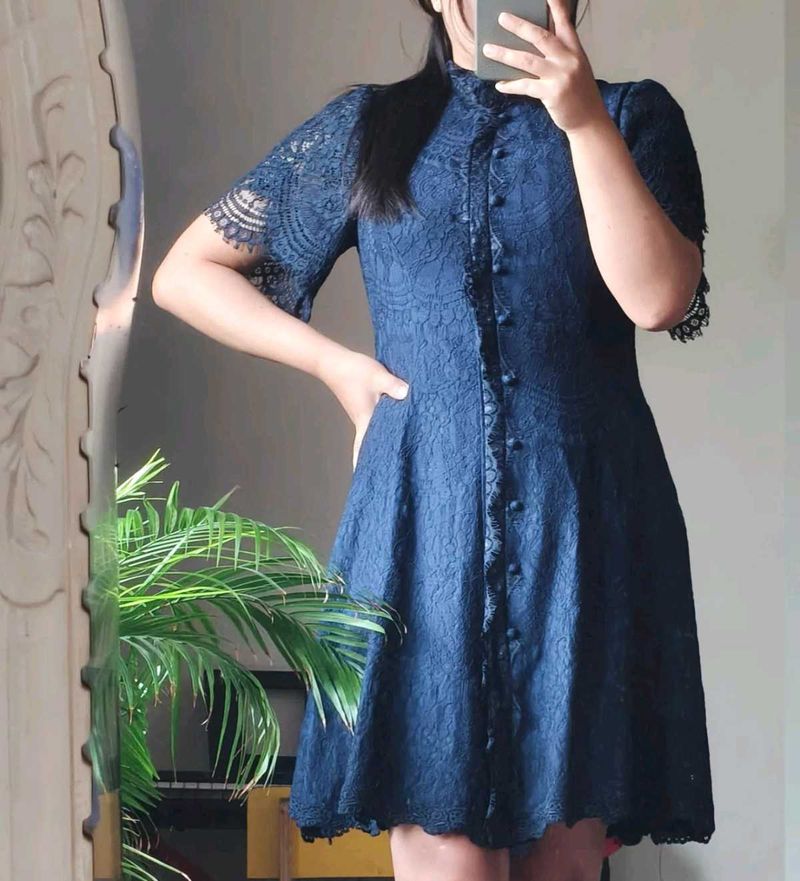 Elegant Navy Lace Dress