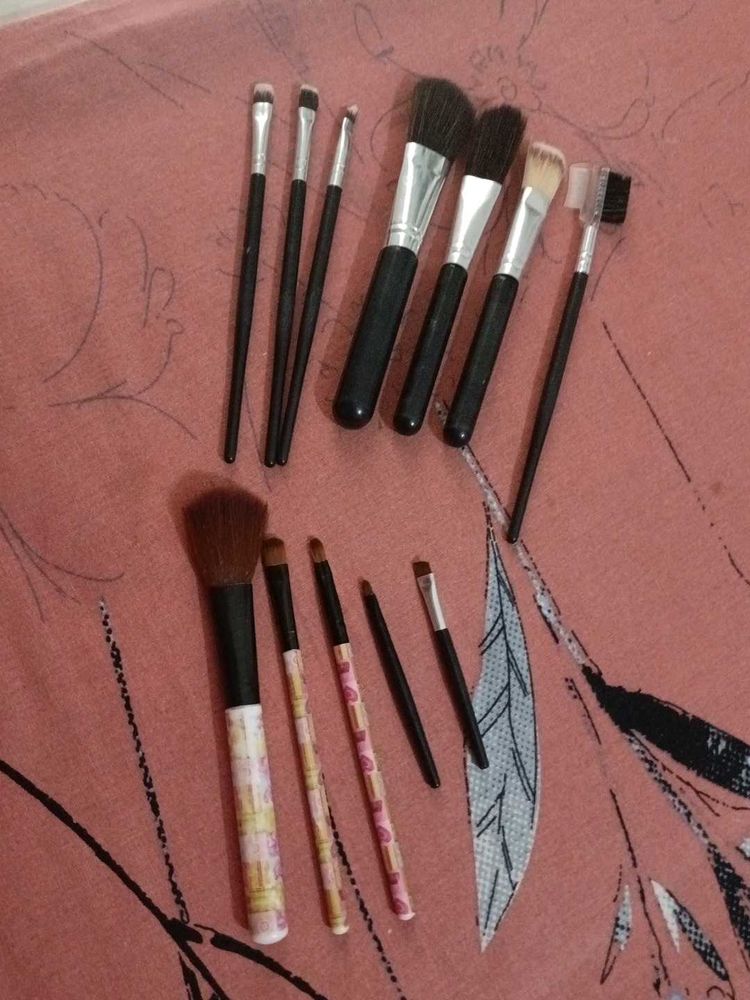 Makeup Brush Set - Variety of Styles