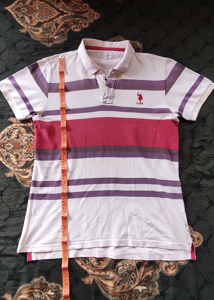 Striped USPA Polo Shirt orignal
