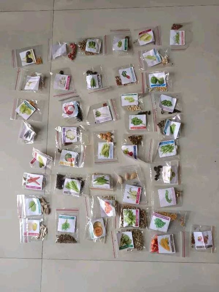 Vegetable Seeds