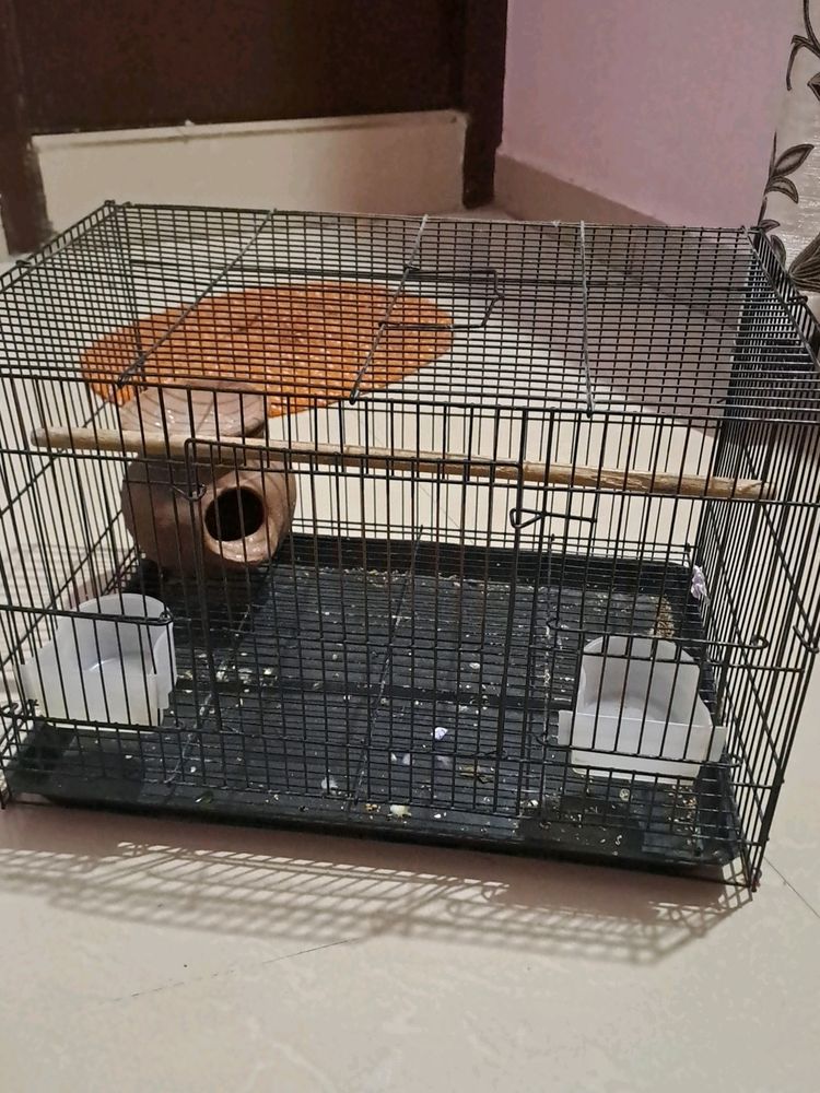Birds Cage With Birds Food