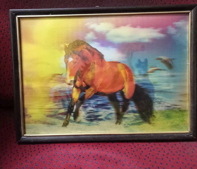 Beautiful Running Horses 3D