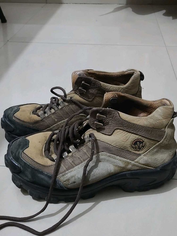 Original woodland Trekking Shoes