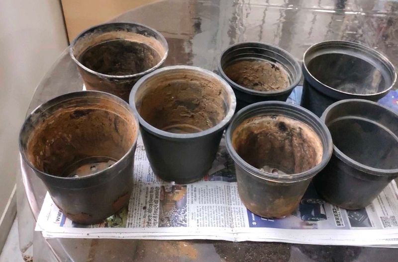 7 Black Nursery Plastic pots