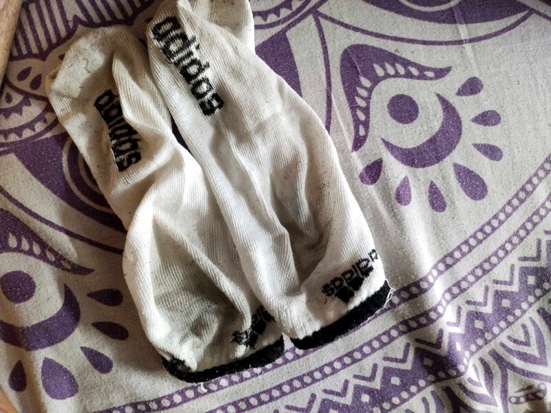 Used Socks For Women