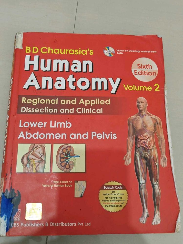 Human Anatomy Textbook - Volume 2, 6th Edition