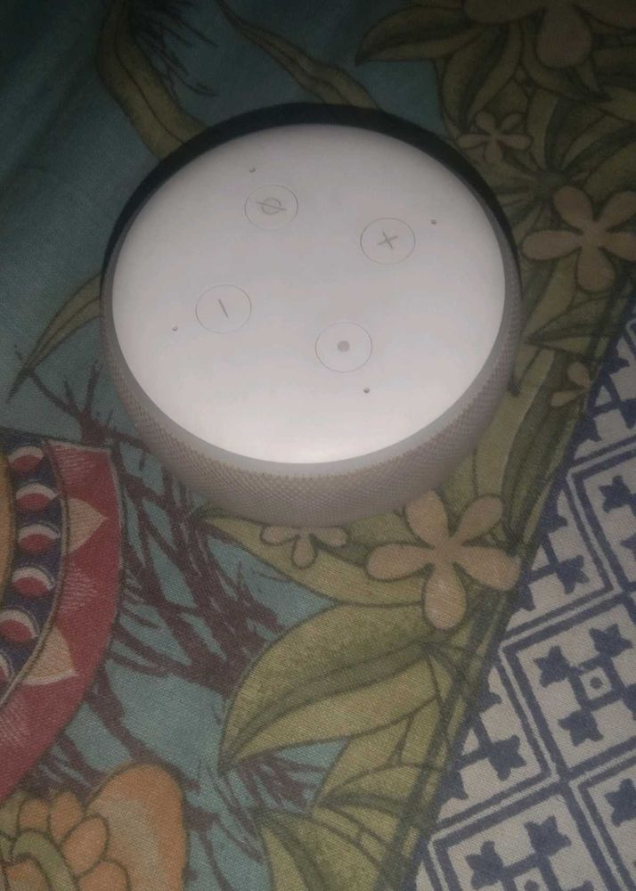 Echo Dot (White)