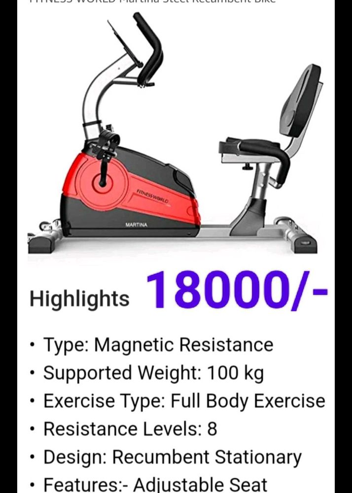 Martina Recumbent Bike
