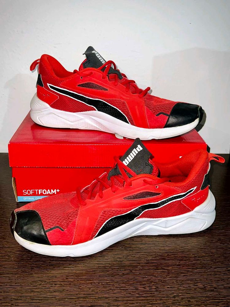 Puma Softfoam Plus