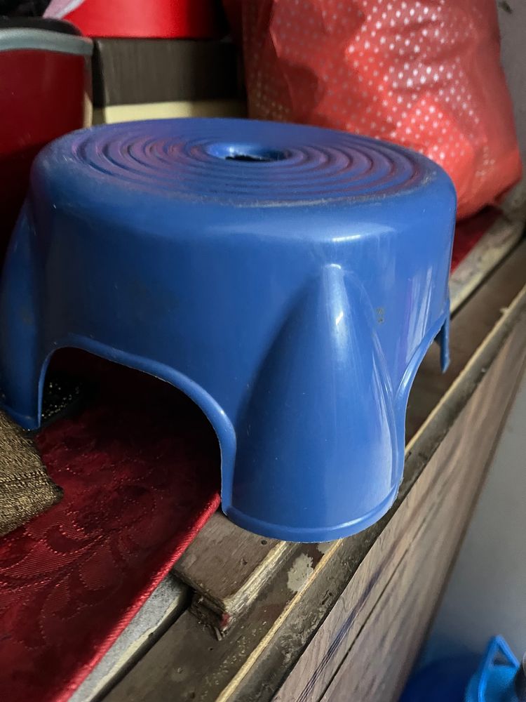 Blue Plastic Step Stool