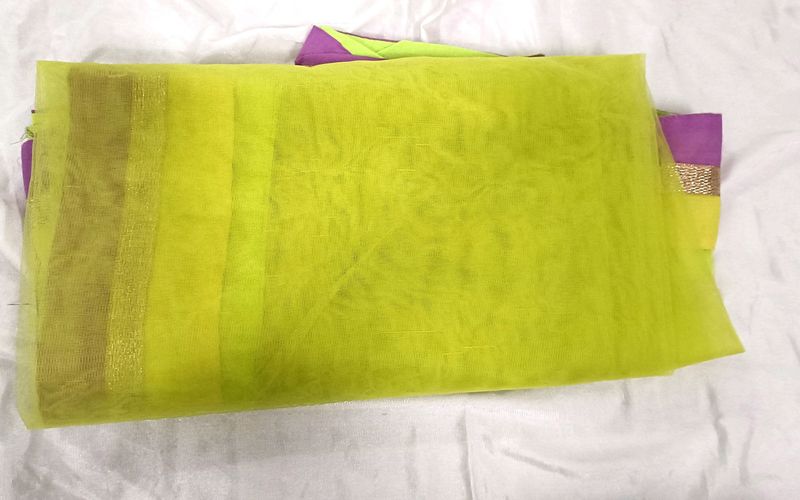 Parrot Green Net Duppata