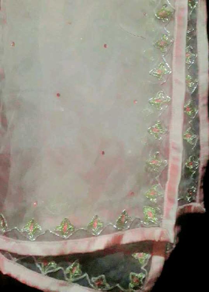 Peach Dupatta With Jewelry Embroidered