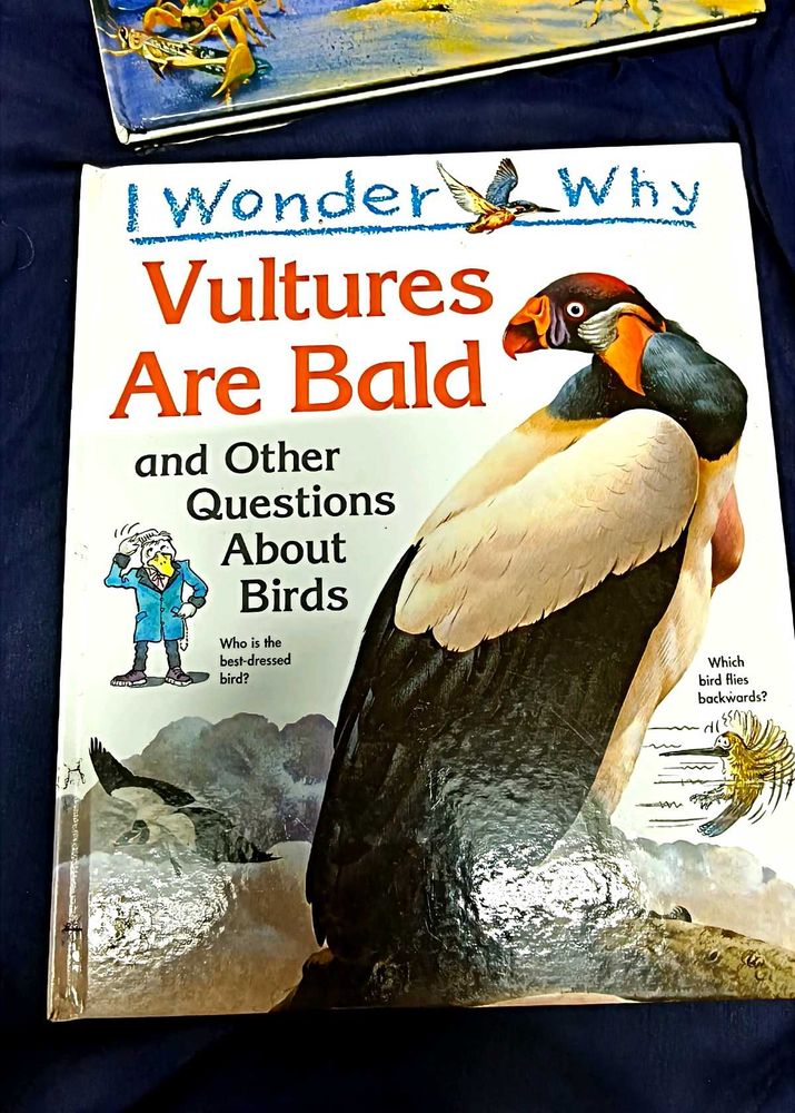 Why I Wonder Childern Book Series