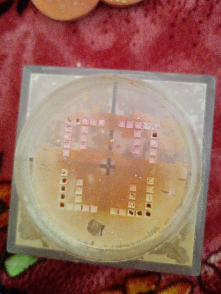 Maybelline Four Color Loose Powder