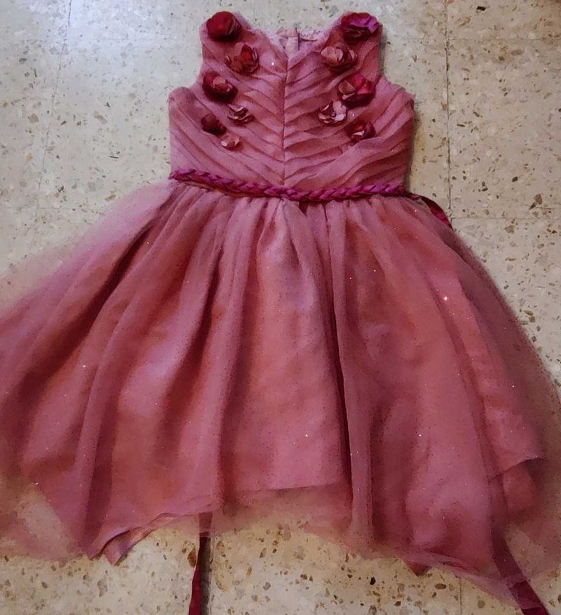 Onion Pink net and satin dress