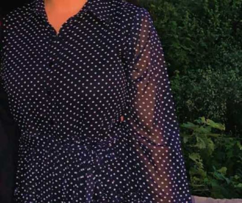 Polka Dot Sheer Dress