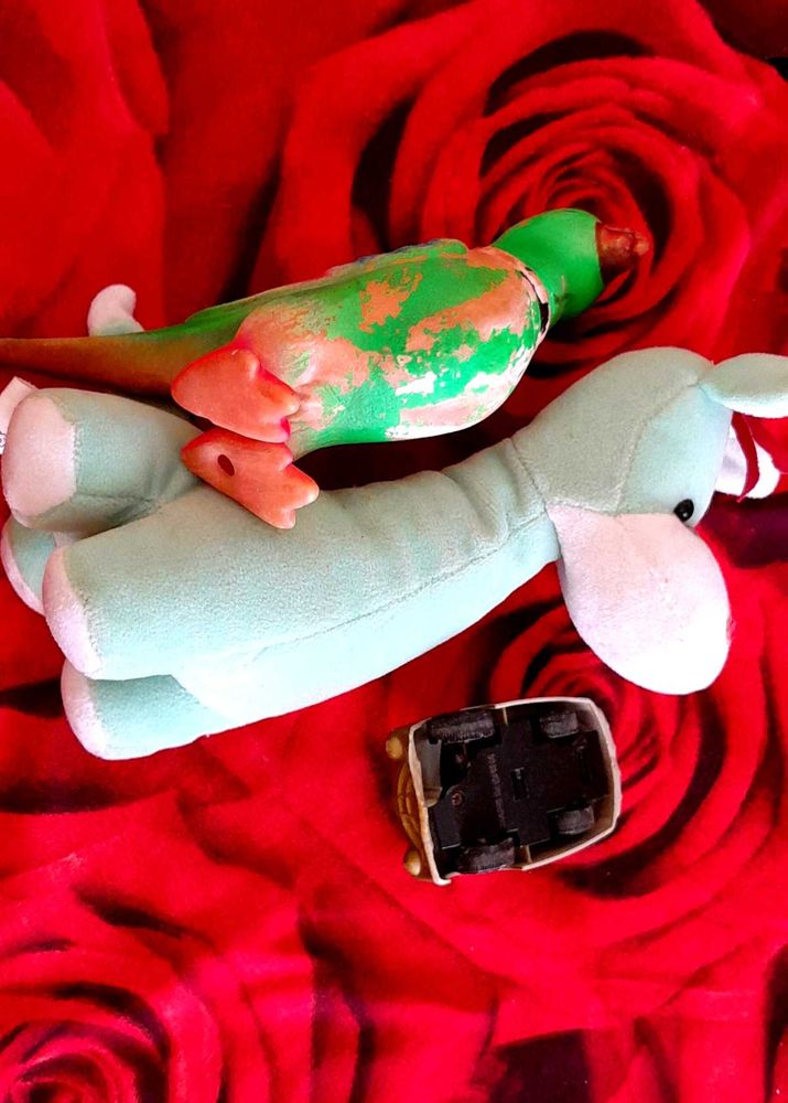 1 Parrot Rubber Toy, Giraffe Soft Toy, Car
