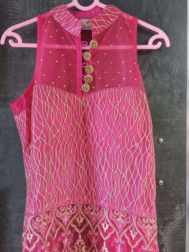 Pink &amp; Gold Embellished Dress
