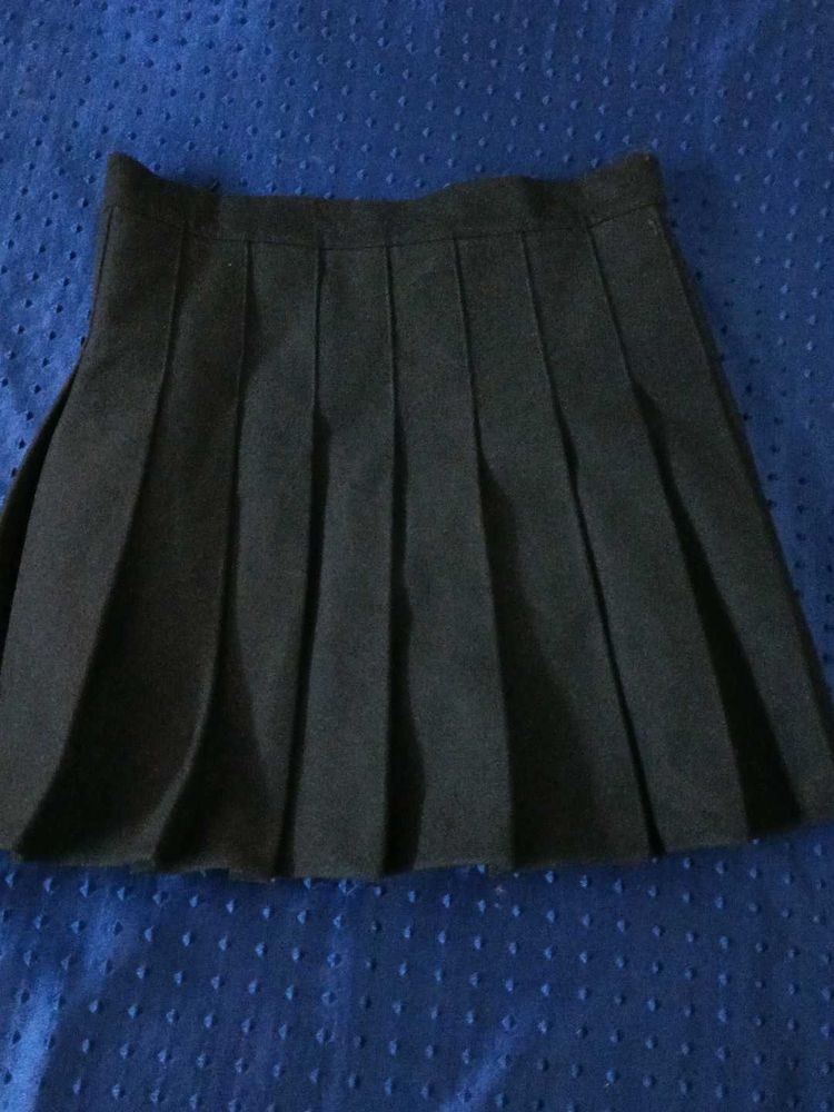 Pleated Skirt