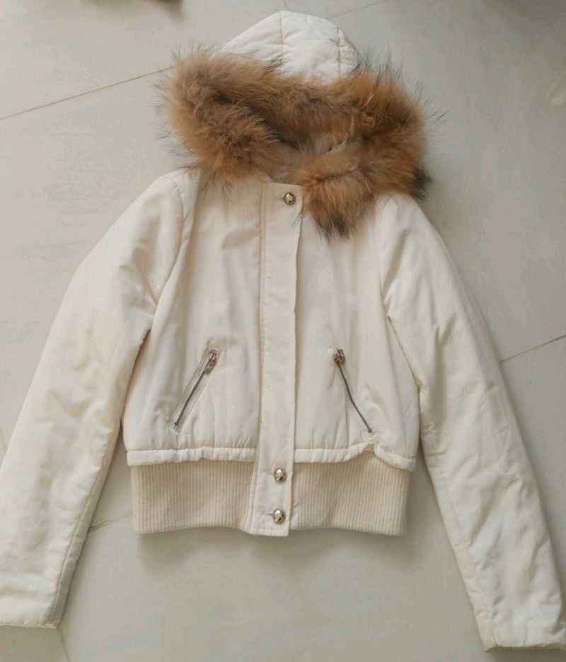 Fur Trimmed Puffer Jacket