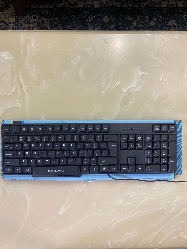 Zebronics K20 Keyboard Brand New