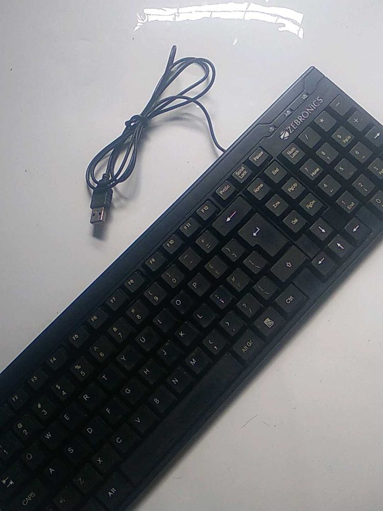 Zebronics USB Keyboard