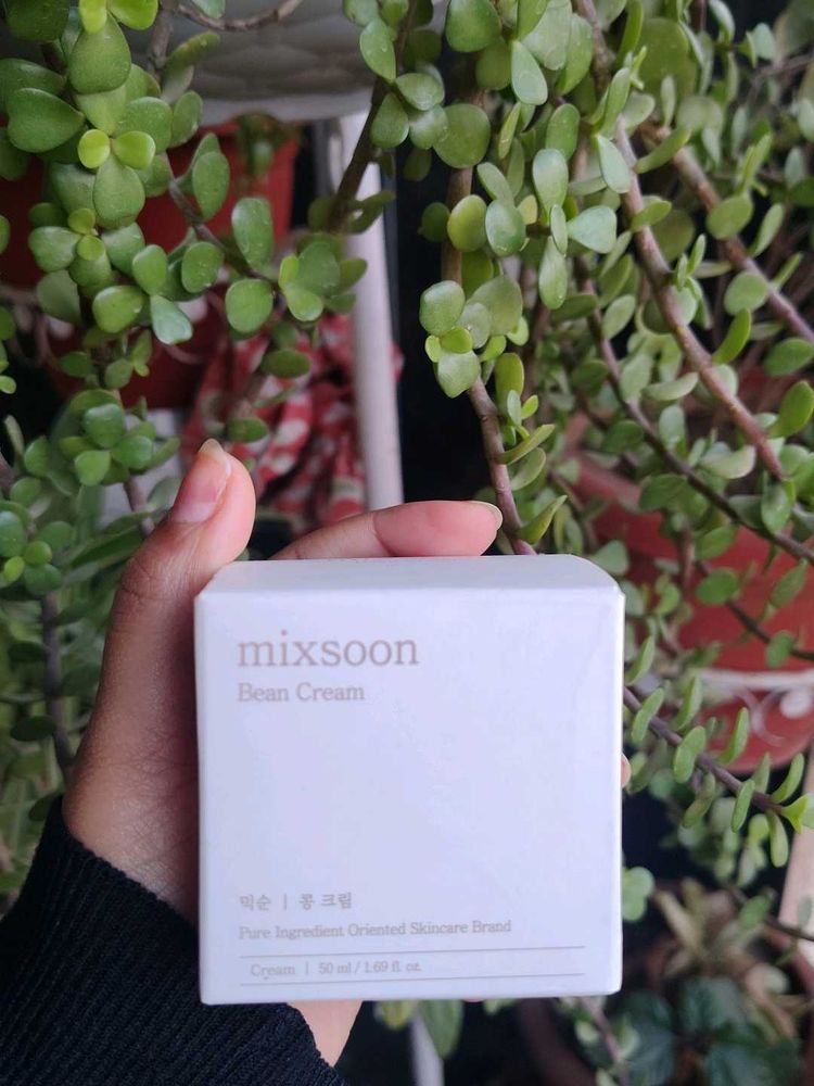 Mixsoon Bean Cream