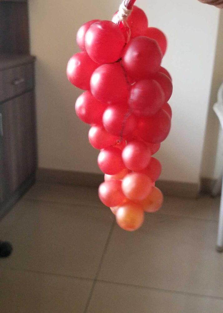Red Grape Decor imported