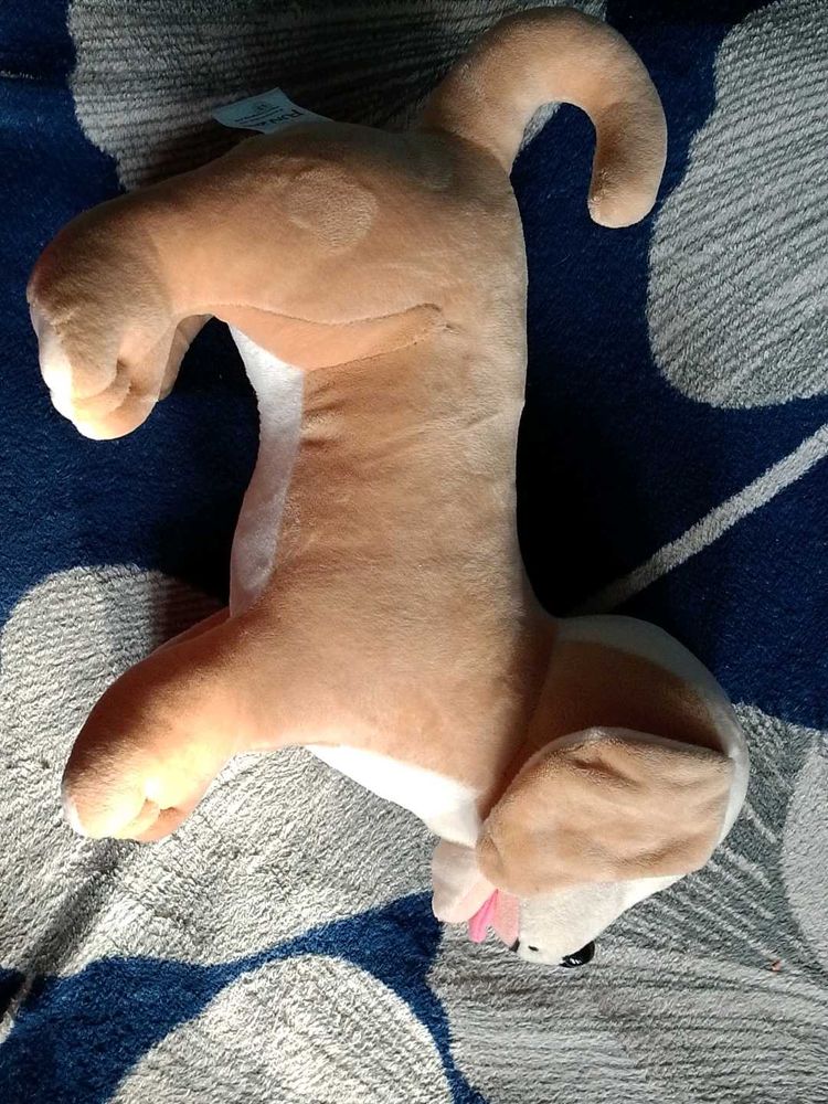 Dog Plush Toy