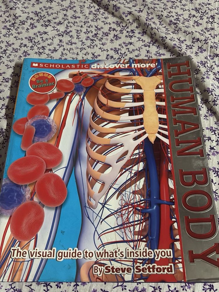 Scholastic Discover More: Human Body