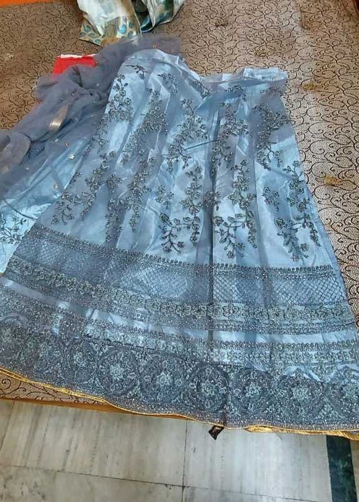 Elegant Embellished Lehenga Skirt