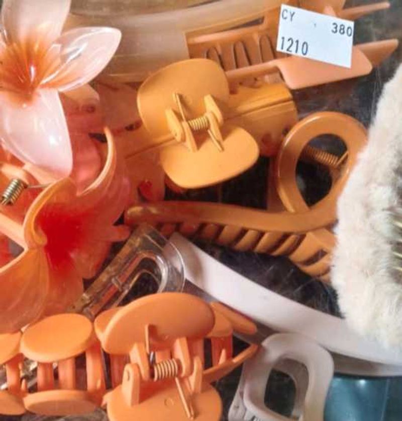 Hair Clip Bundle( Pack Of 10)