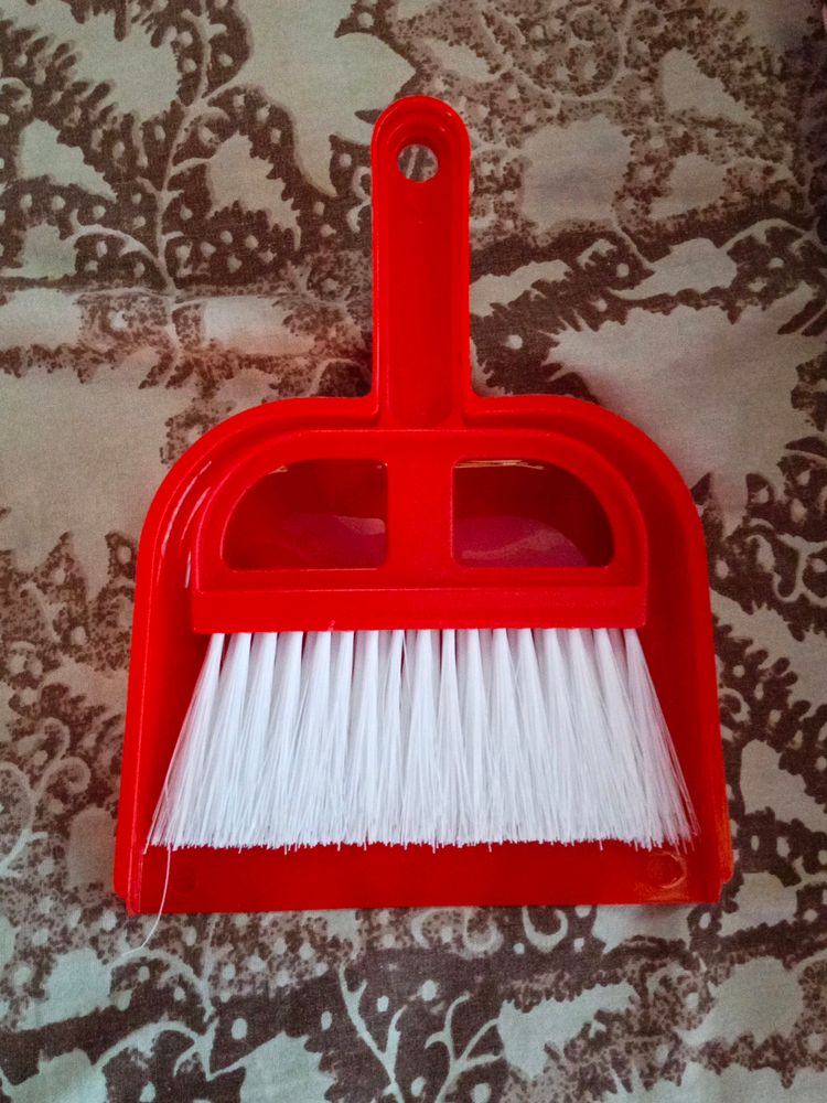 Dustpan With Brush