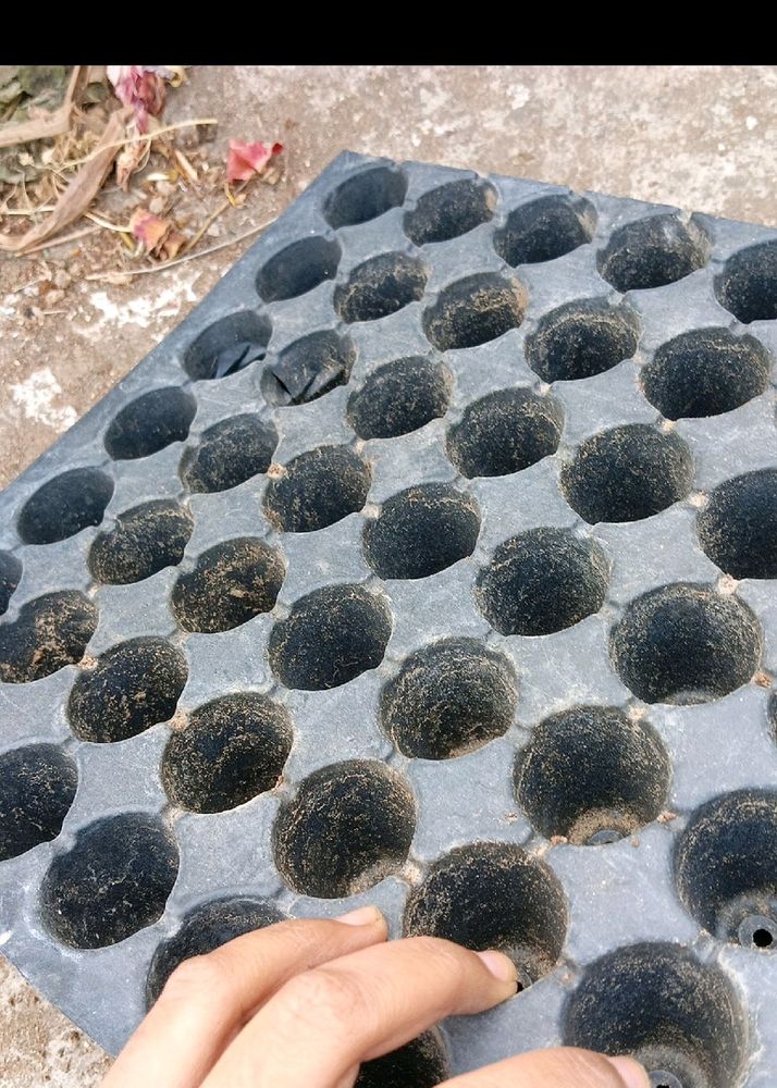 Pro Tray Combo Of 3