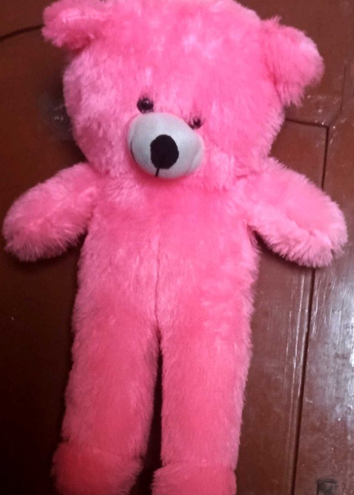 Pinky Teddy 🐻❤ Looking For Affectionate Hooman..