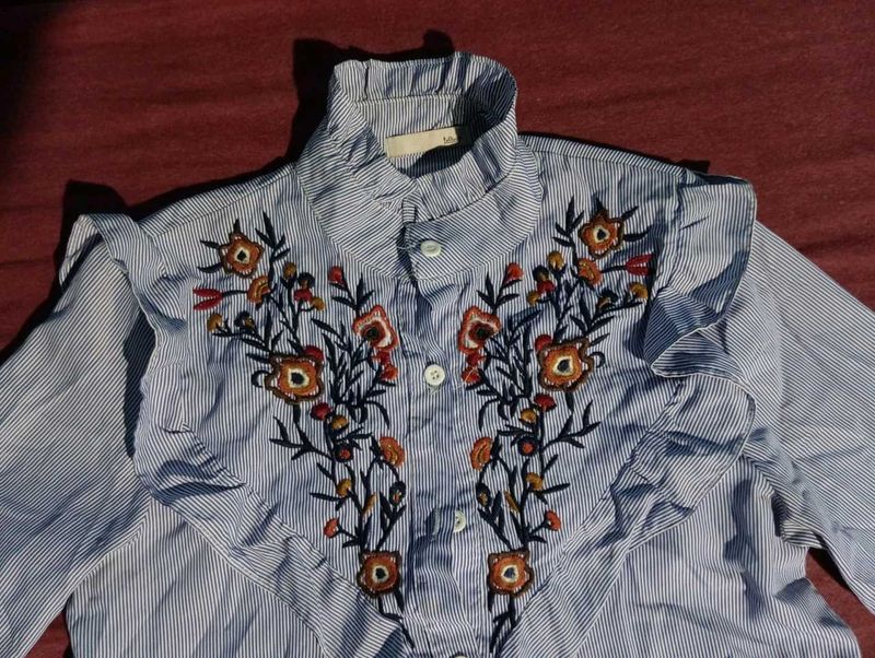 Striped Floral Embroidered Shirt
