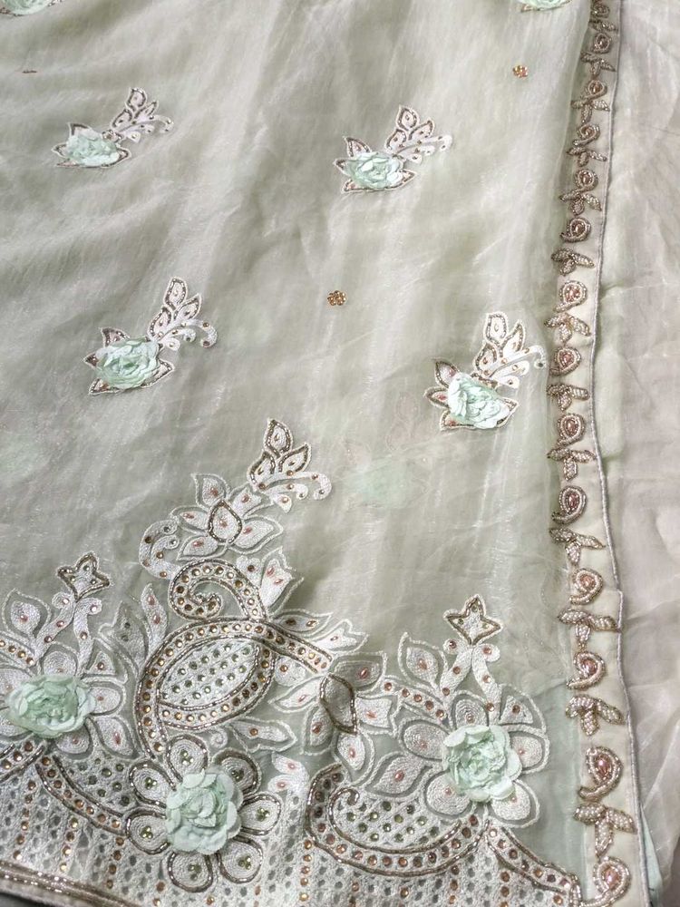 Elegant Studded Light Green Saree With Borders