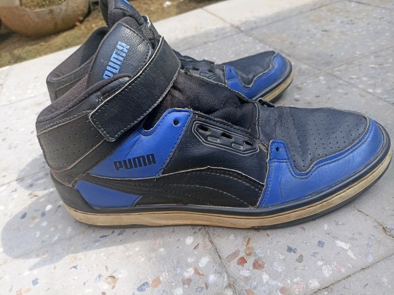 These are my puma Shoes which I Bought  before 1yr