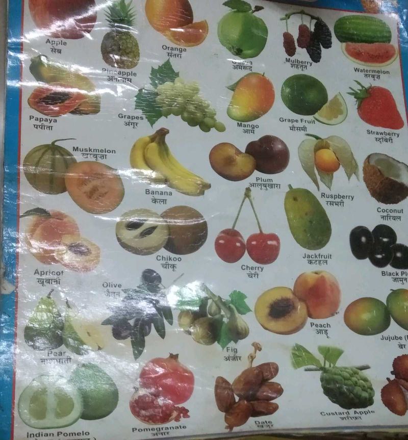 Hindi Varnamala, Vegetables Fruits Animals Chart