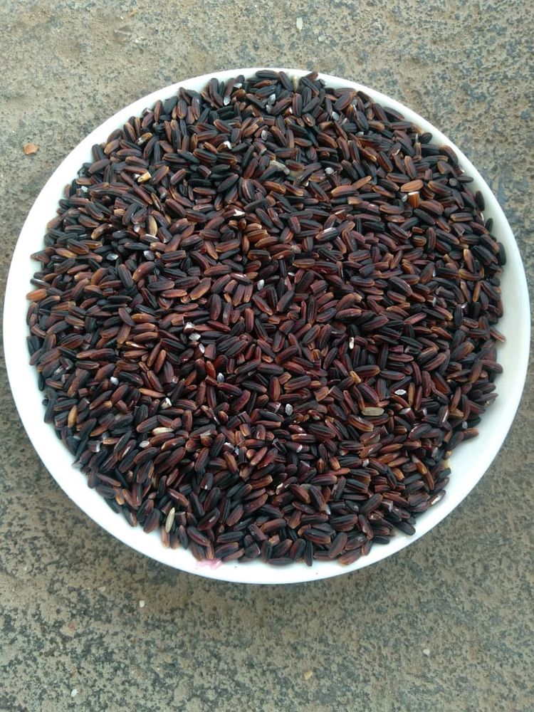 BLACK RICE